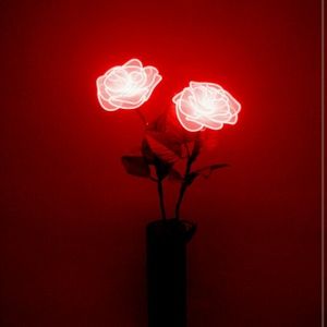 Meet your Posher, Katarina